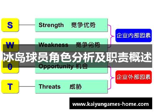 冰岛球员角色分析及职责概述